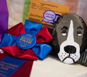 ‘Special Stars’ shine again at California Mid-State Fair