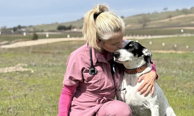 Business Spotlight: The Spotted Dog Veterinary Services