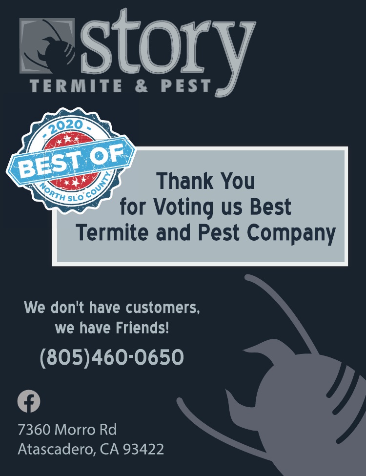 Story Termite & Pest Best of 2020