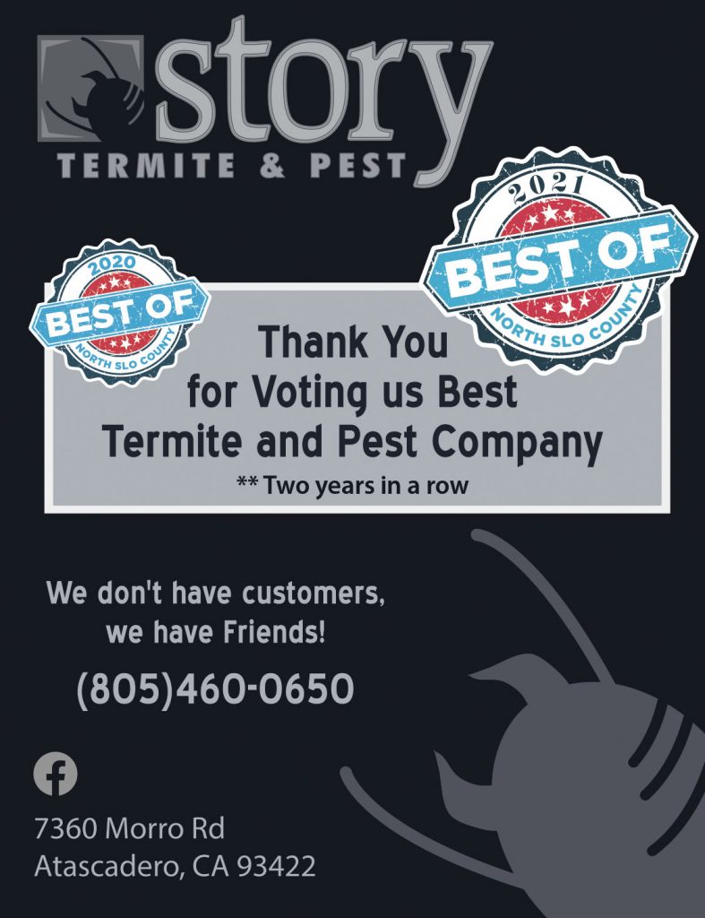 Story Termite Pest Control MAR21