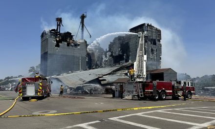 Templeton Feed and Grain Falls, but its spirit stands tall