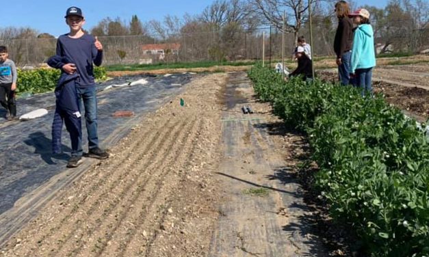 Templeton Hills Community Farm Prepares for First Anniversary Celebration