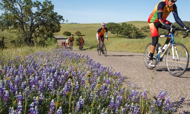 CSCCC 12th Annual Tour of Paso Rescheduled