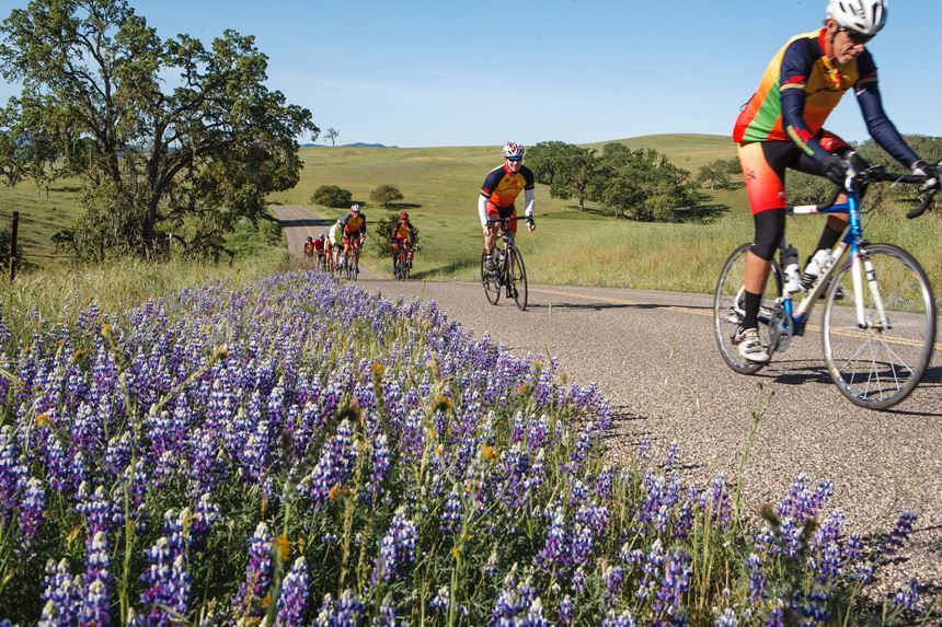 <strong>Tour of Paso Bike Ride Benefits Cancer Patients</strong>