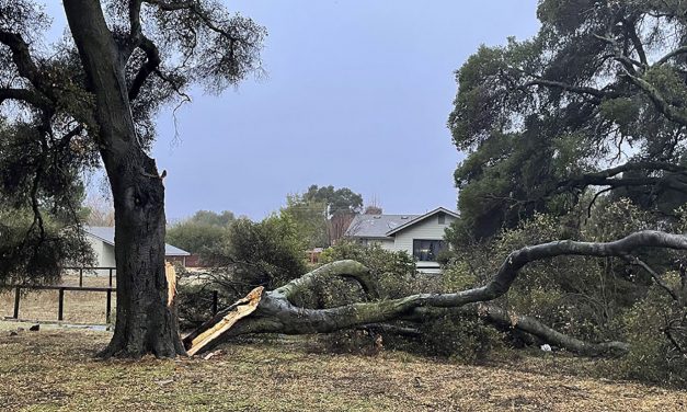 Heavy Rainfall, Flash Flood Warnings and Updates