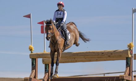 High-Flying Horse Sport Season is Underway