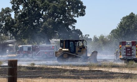 Vegetation Fire in Paso Robles 40% contained after quick response