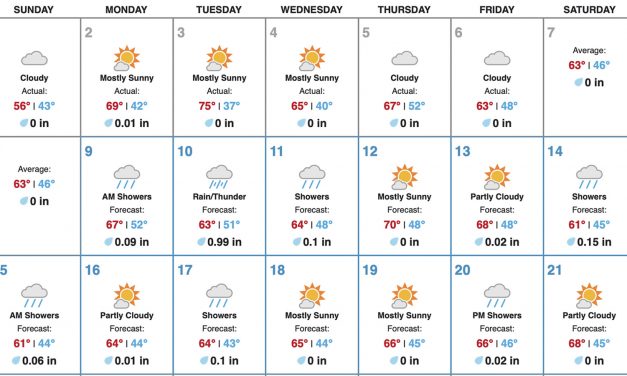 More Rain Forecasted in March