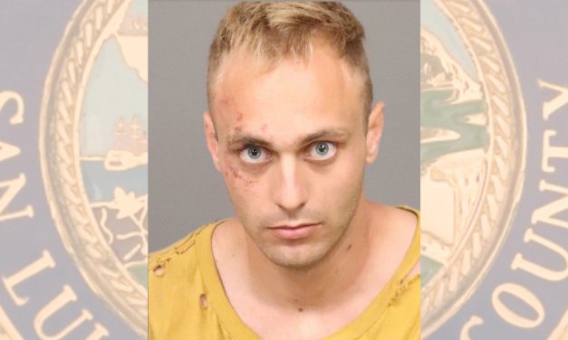 Templeton Man Arrested After Fleeing Sheriff Deputies