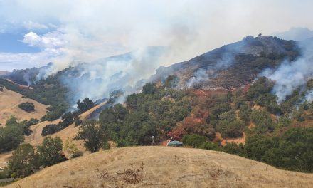 Cal Fire SLO Working to Contain Whale Fire