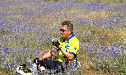 San Luis Obispo Bicycle Club’s Wildflower Century returns on April 20