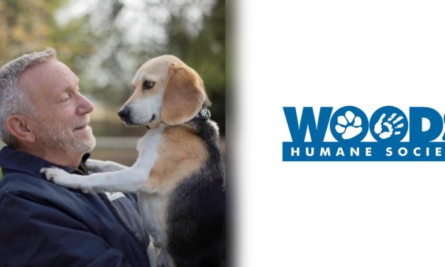 Woods Humane Society Offers Safe Dog-Handling Tips 