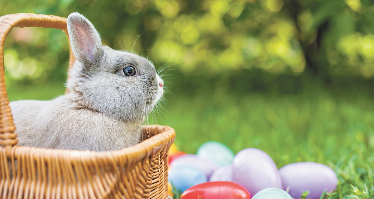 Easter Bunny Coming to Downtown this Saturday