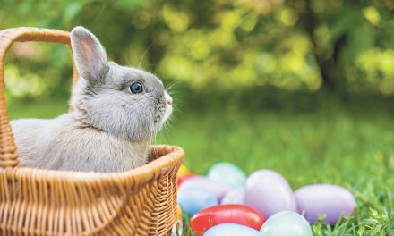 Easter Bunny Coming to Downtown this Saturday