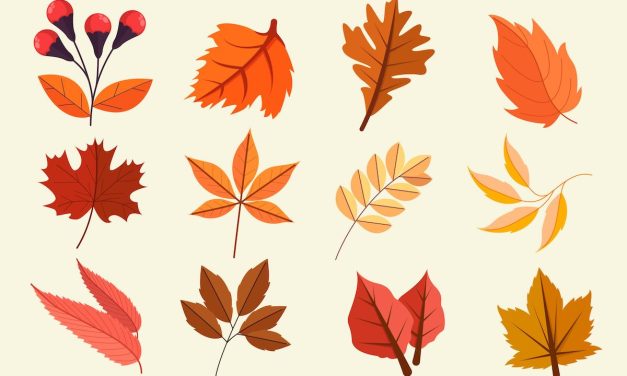 Time for a Fall Refresh