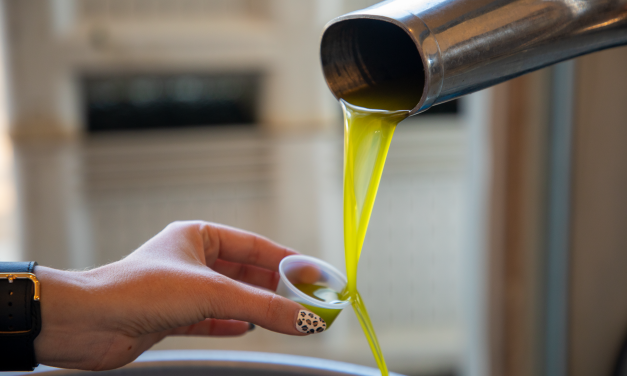 Pasolivo Sees a Successful 2021 Olive Harvest