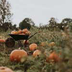North County October Calendar of Events