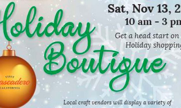 Pavilion on the Lake Annual Holiday Boutique