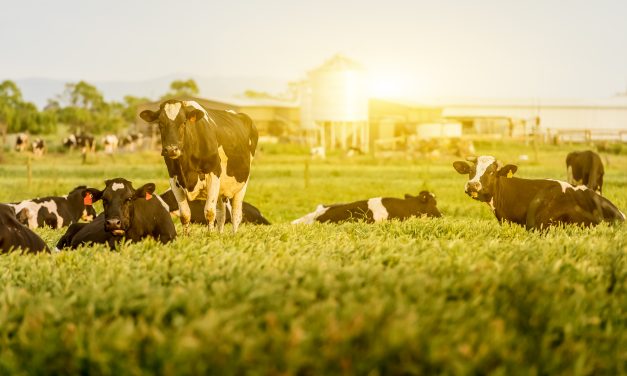 Farmers and Ranchers Await Water Curtailment Orders