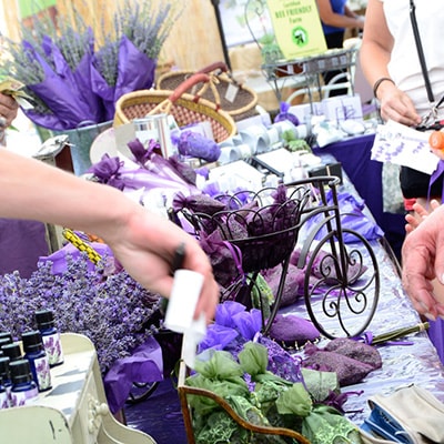 Paso Robles Downtown Main Street Assoc. Cancels Olive and Lavender Festival