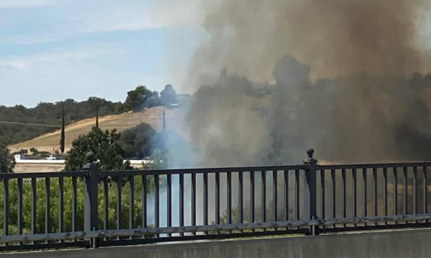 Riverbed Vegetation Fire