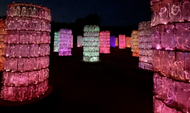 Sensorio Field of Lights Re-Opens with Newly Added Light Towers