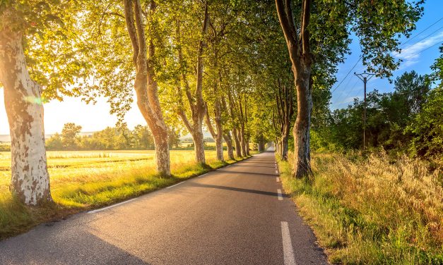California Makes $1.18 Billion Transportation Investment
