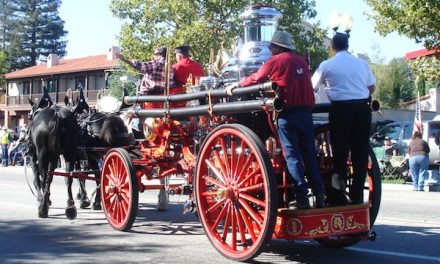 Fun Things to See and Do on Pioneer Day!