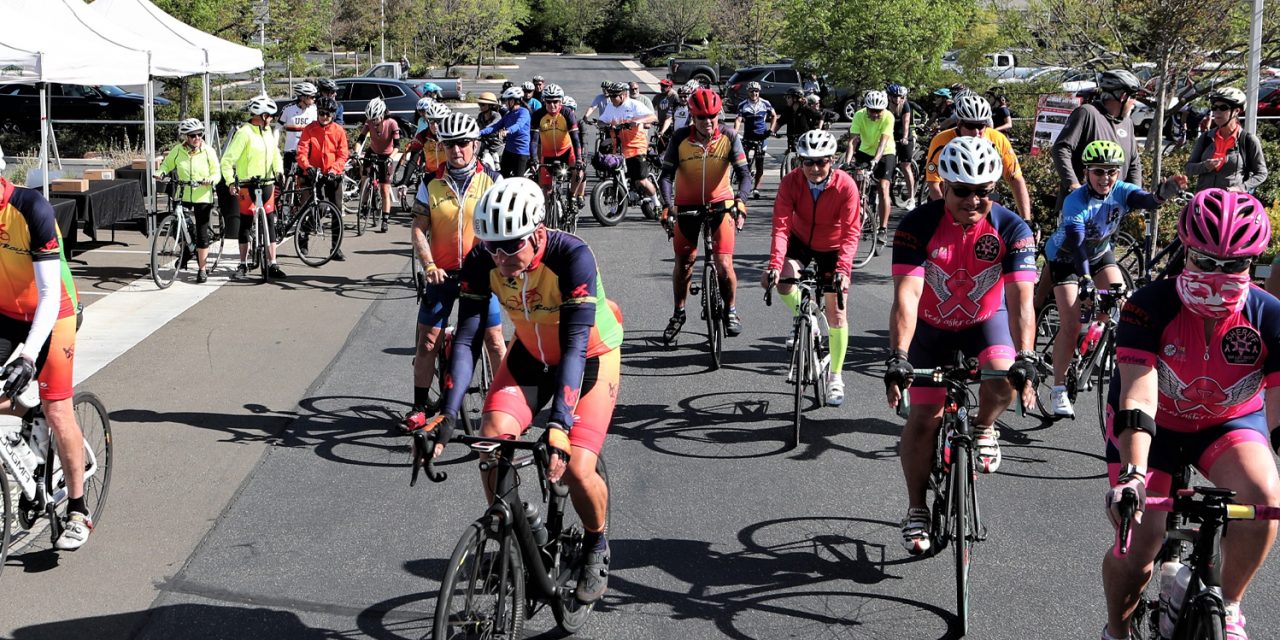 13th Annual Tour of Paso Huge Success