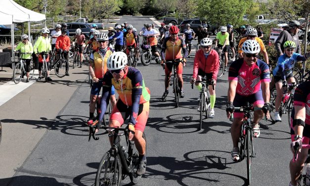 13th Annual Tour of Paso Huge Success