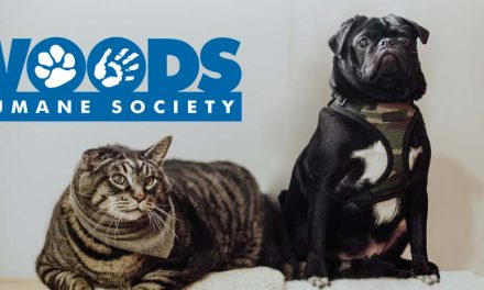 Woods Humane Society Celebrates National Adopt a Cat Month 